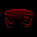 the album cover for Tool - Undertow