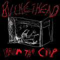the album cover for Buckethead - From the Coop