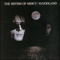 the album cover for The Sisters Of Mercy - Floodland