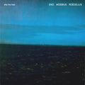 the album cover for Eno/Moebius/Roedelius - After the Heat