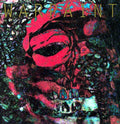 the album cover for Warpaint - The Fool