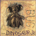 the album cover for Dinosaur Jr. - Bug [Vinyl]