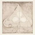 the album cover for Grizzly Bear - Shields: B-Sides [Vinyl]