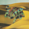 the album cover for Django Django - Django Django
