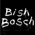 the album cover for Scott Walker - Bish Bosch
