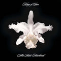 the album cover for Kings Of Leon - Aha Shake Heartbreak