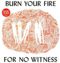 the album cover for Angel Olsen - Burn Your Fire For No Witness [Vinyl]