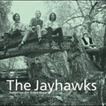 the album cover for The Jayhawks - Tomorrow The Green Grass [Vinyl]