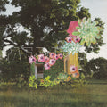 the album cover for Medicine - Home Everywhere [Vinyl]