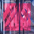 the album cover for A Place To Bury Strangers - Transfixiation [Vinyl]