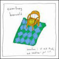 the album cover for Courtney Barnett - Sometimes I Sit & Think & Sometimes I Just Sit