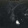 the album cover for Cocteau Twins - The Pink Opaque [Vinyl]