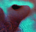 the album cover for Pink Floyd - Meddle