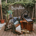 the album cover for Slaughter Beach, Dog - Birdie [LP]