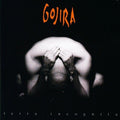 the album cover for Gojira - Terra Incognita