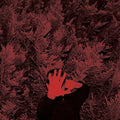 the album cover for Cory Hanson - The Unborn Capitalist From Limbo [Vinyl]