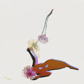 the album cover for Future Islands - The Far Field [LP]