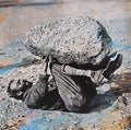 the album cover for Forest Swords - Compassion [Indie Exclusive Deluxe LP]