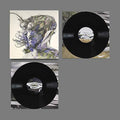 the album cover for Bibio - Ribbons [LP]