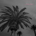 the album cover for Actual Wolf - Faded Days