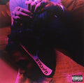 the album cover for Smino - blkswn