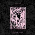 the album cover for Raspberry Bulbs - Before The Age Of Mirrors