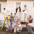 the album cover for Dip - The Dip