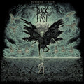 the album cover for Black Fast - Spectre Of Ruin [LP]