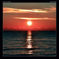 the album cover for Eric Bachmann - No Recover [Indie Exclusive Limited Edition Peak Vinyl]