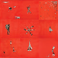 the album cover for Animal Collective - Hollinndagain [LP]