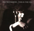 the album cover for The Waterboys - This Is The Sea: Collectors Edition [Import]