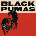 the album cover for Black Pumas - Black Pumas: Deluxe Edition [2CD]