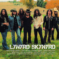the album cover for Lynyrd Skynyrd - Icon [2LP]