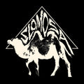 the album cover for Subshine - Slomosa