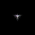 the album cover for Karen O - Lux Prima