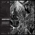 the album cover for Marissa Nadler & Stephen Brodsky - Droneflower [LP]