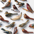 the album cover for Kishi Bashi - Omoiyari [LP]