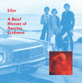 the album cover for Lilys - Brief History Of Amazing Letdowns