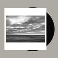 the album cover for Tomahawk - Tonic Immobility [LP]