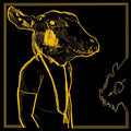the album cover for Shakey Graves - Roll The Bones X [Gold & Black 2 LP]
