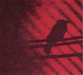 the album cover for Silver Mt. Zion - Born Into Trouble As the Sparks Fly Upward