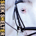 the album cover for Iceage - Seek Shelter [LP]