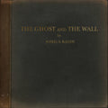 the album cover for Joshua Radin - The Ghost and the Wall [LP]