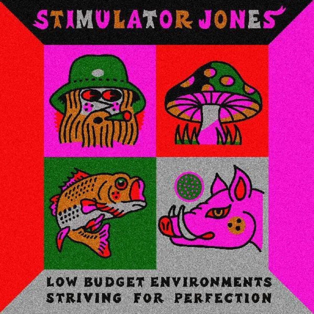 the album cover for Stimulator Jones - Low Budget Environments Striving For Perfection