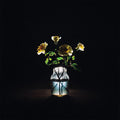 the album cover for Billy Strings - Renewal [2LP]
