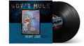 the album cover for Gov't Mule - Heavy Load Blues [2LP]