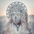 the album cover for Eidola - Architect