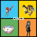 the album cover for Owls - Owls [LP]
