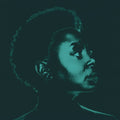 the album cover for Ledisi - Ledisi Sings Nina