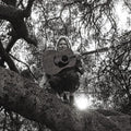 the album cover for Ty Segall - Hello, Hi [LP]